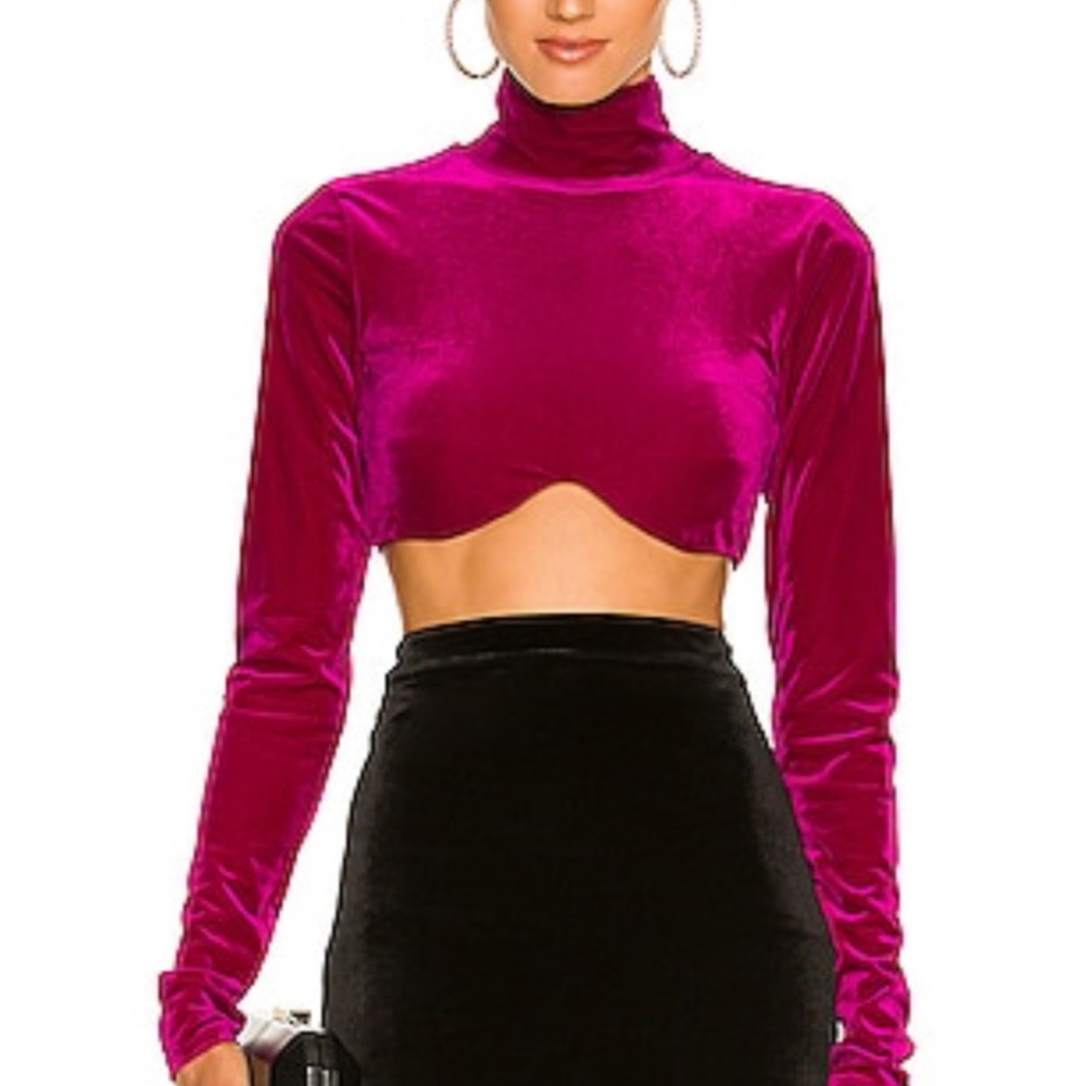 Camila Coelho Pink Long Sleeve Fitted Velvet Top